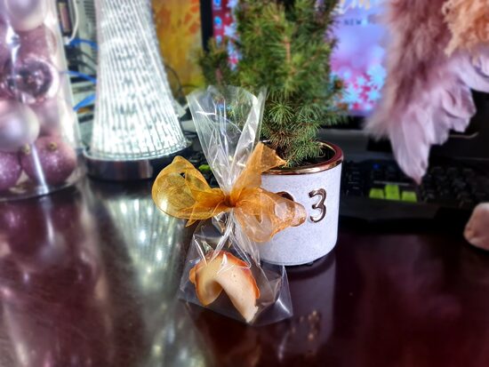 Fortune cookies in bags with ribbons 250 pcs
